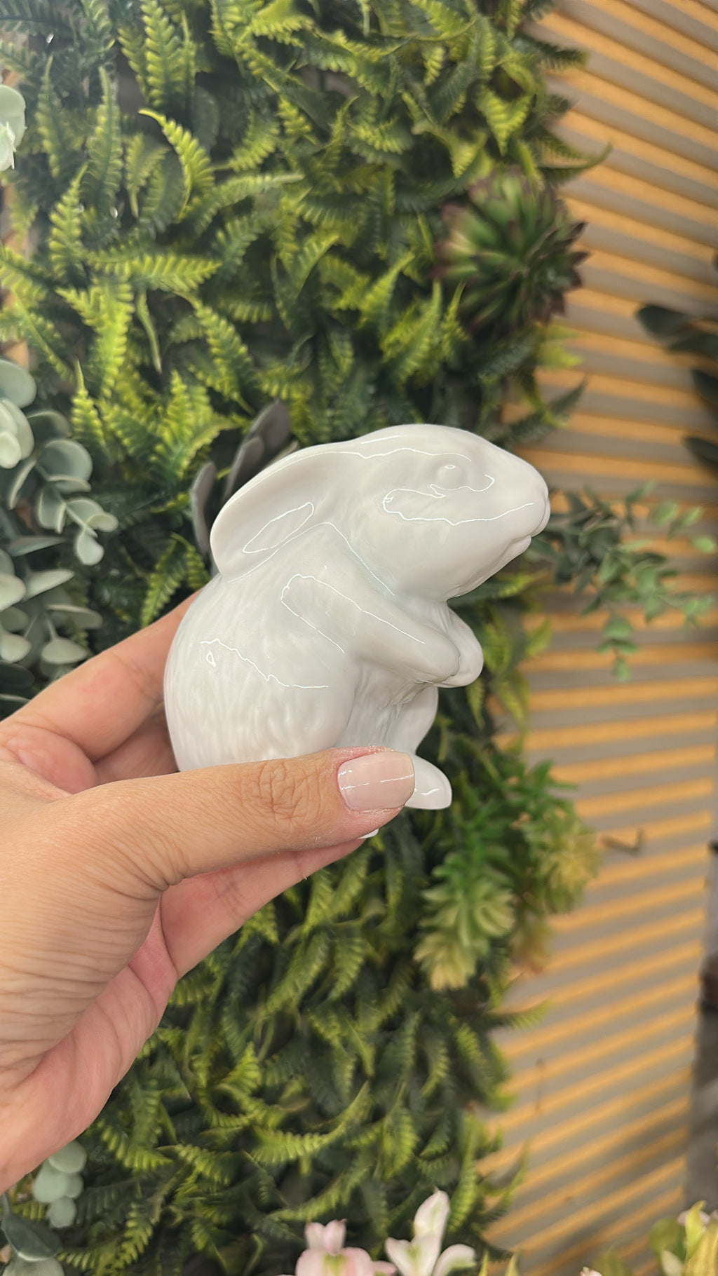 Coelhos porcelana