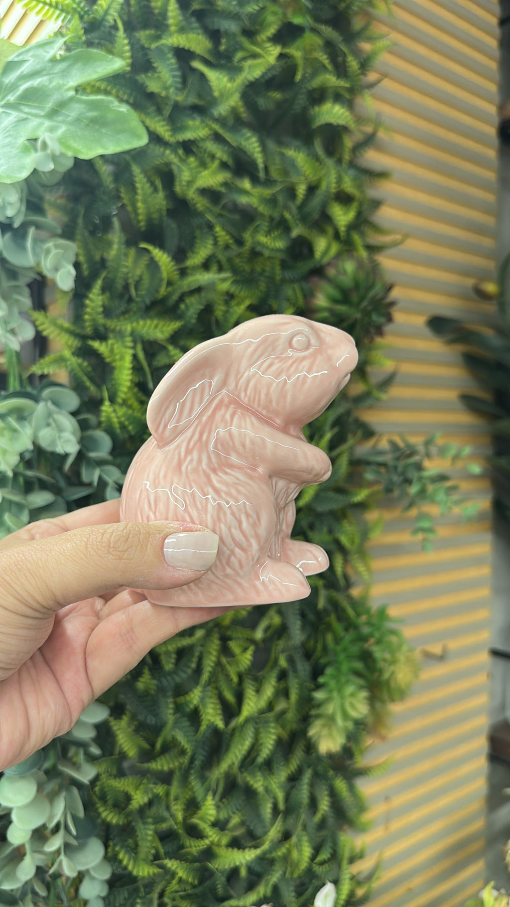 Coelhos porcelana